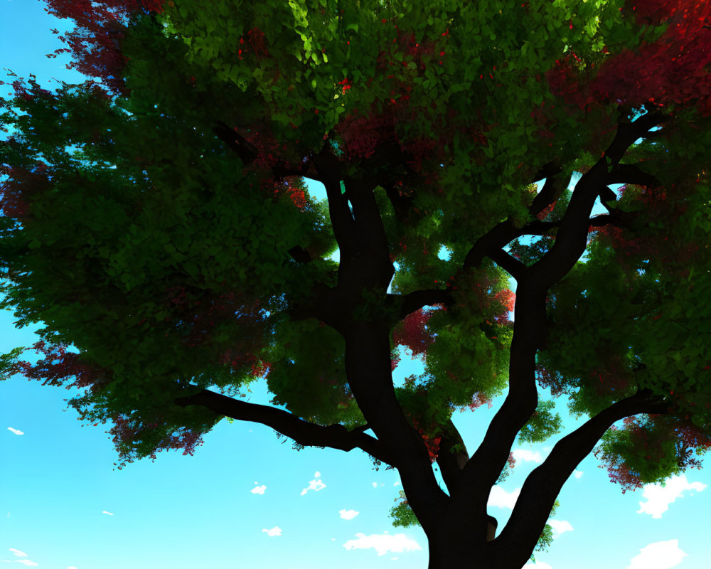 Colorful tree illustration under blue sky with clouds on grassy field