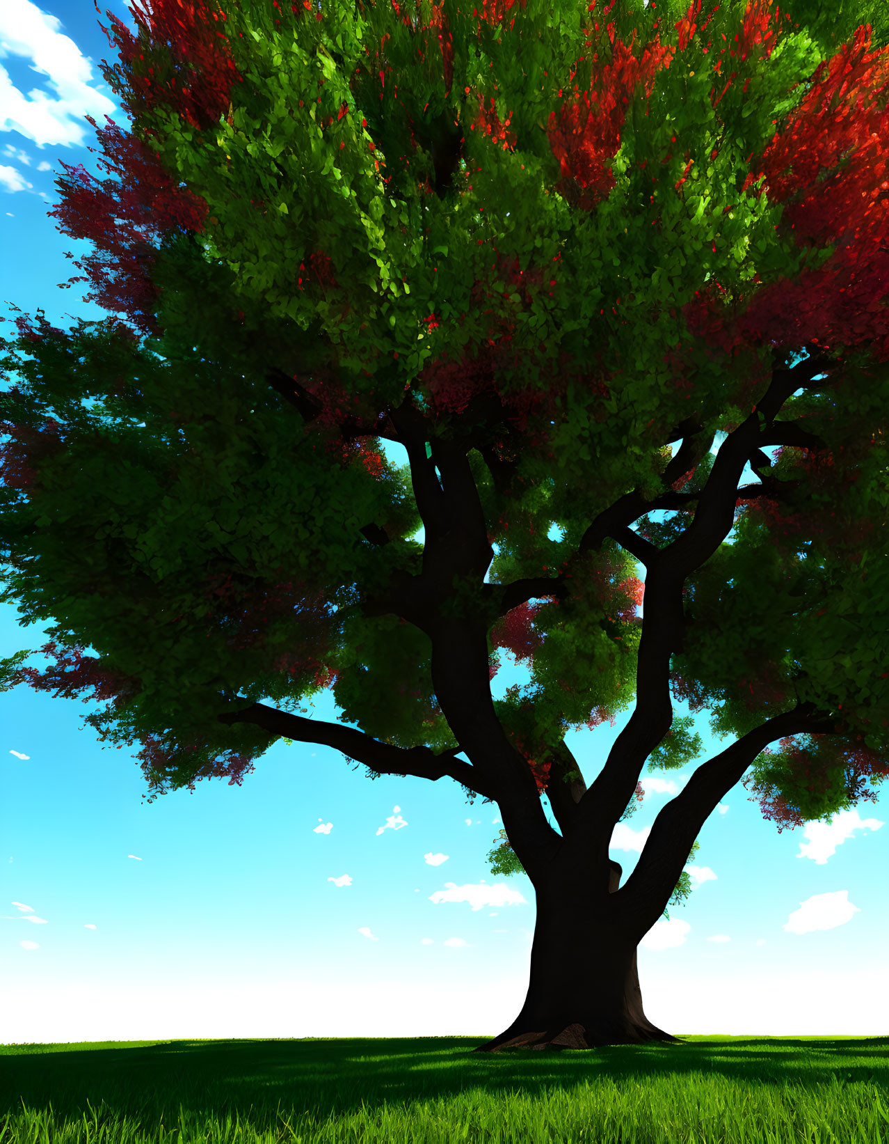 Colorful tree illustration under blue sky with clouds on grassy field