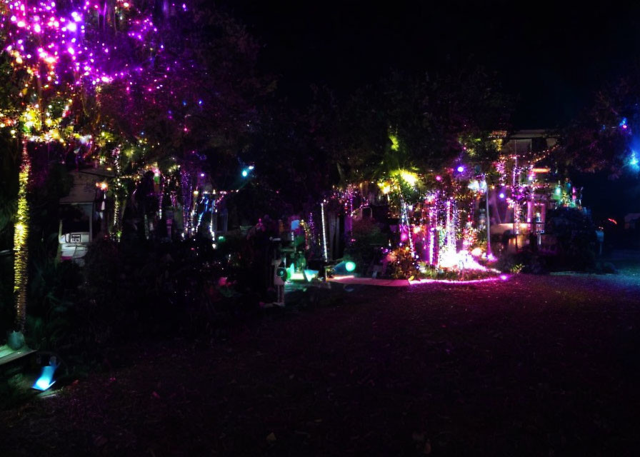 Outdoor Space with Trees and Bushes Lit by Colorful Fairy Lights