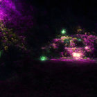 Outdoor Space with Trees and Bushes Lit by Colorful Fairy Lights