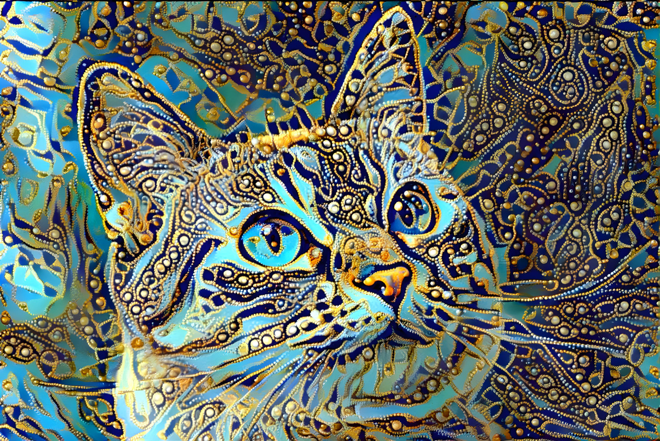 kitty/pixabay