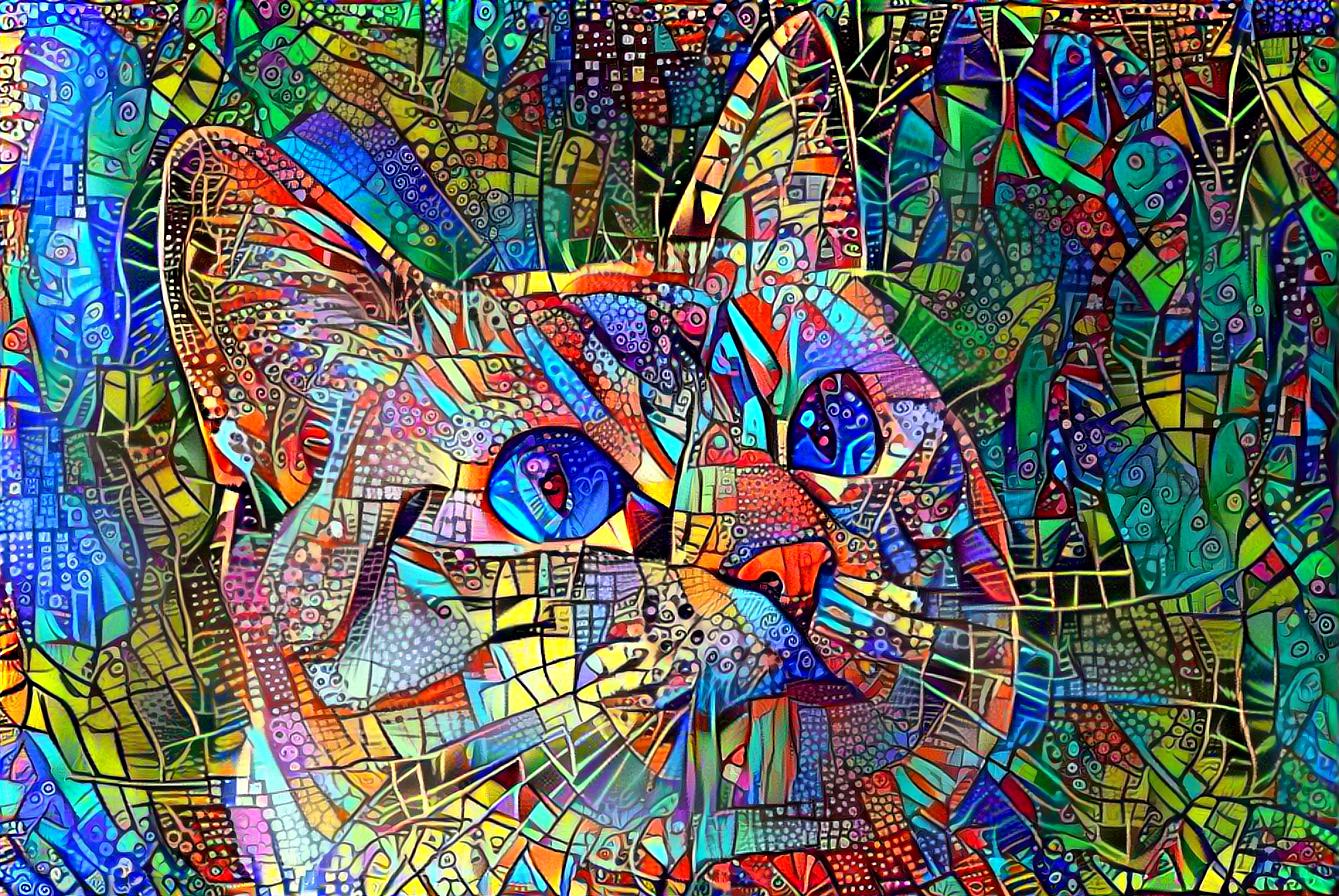 cat abstract (Pixabay)