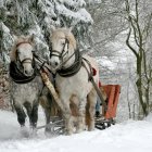 Stylized horses in snowy forest with gentle snowfall