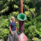 Colorful artwork of woman in patterned dress surrounded by vibrant flowers and whimsical tree