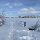 Snowy Winter Landscape with Wooden Bridge and Bare Trees