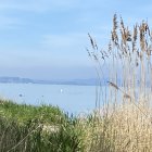 Tranquil lake scene with wildflowers, distant chapel, misty forested hills