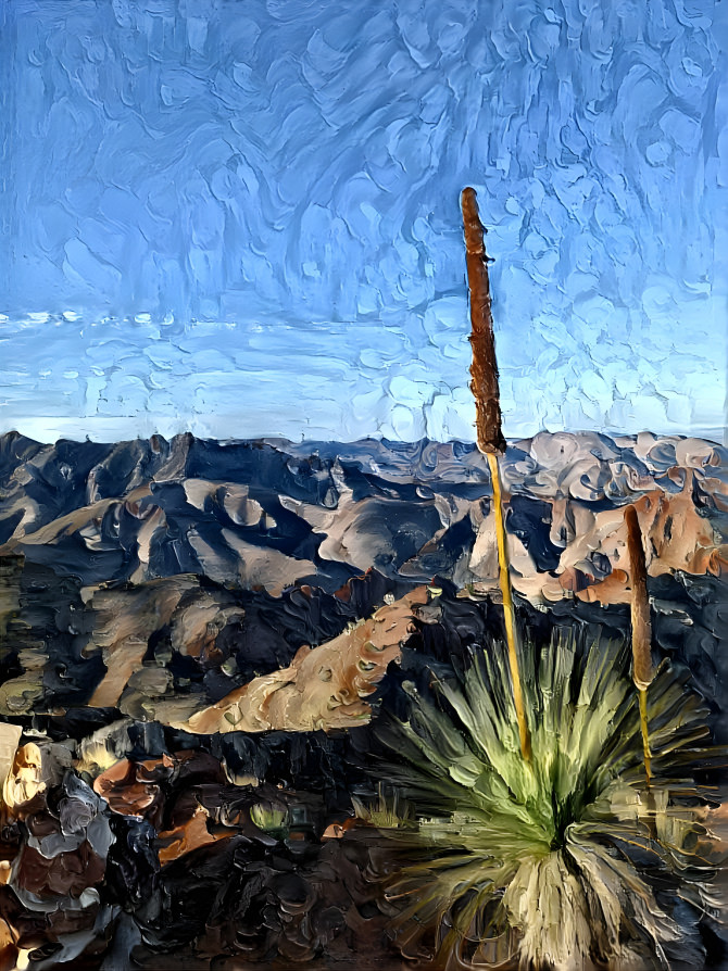 Arkaroola station, Flinders Ranges