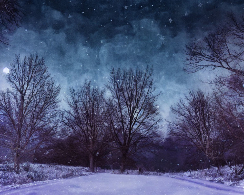 Snowy Night Landscape with Leafless Trees and Starry Sky