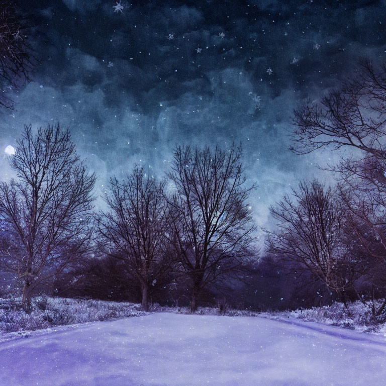 Snowy Night Landscape with Leafless Trees and Starry Sky