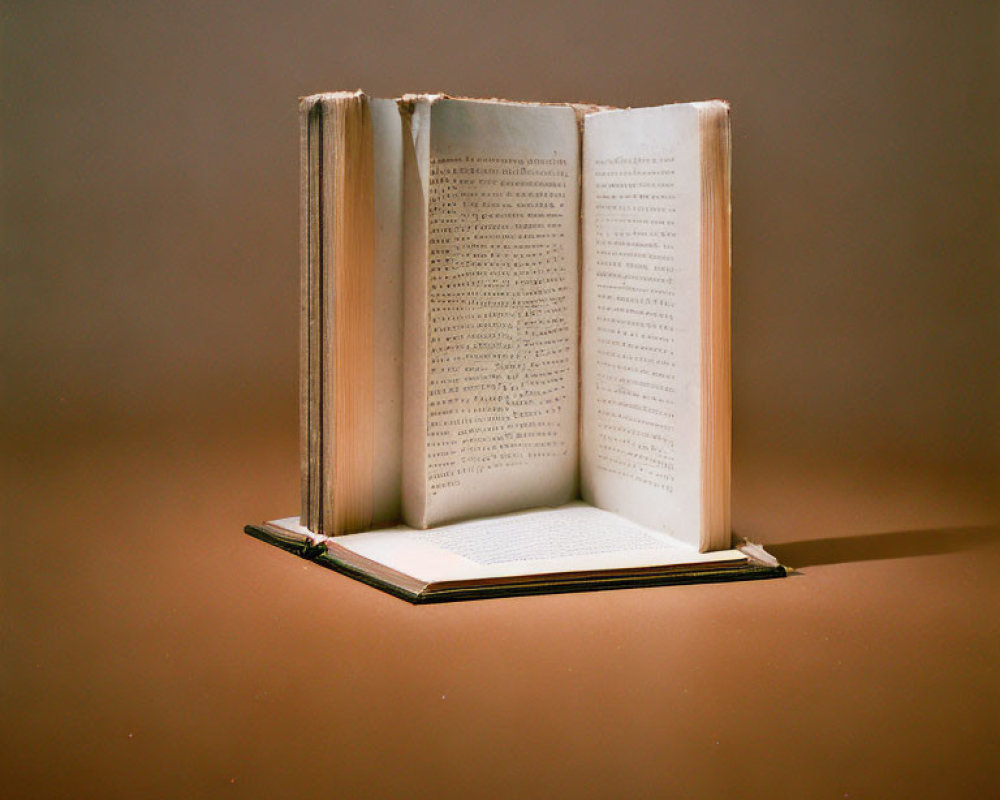 Open book with tattered pages on plain background under warm light