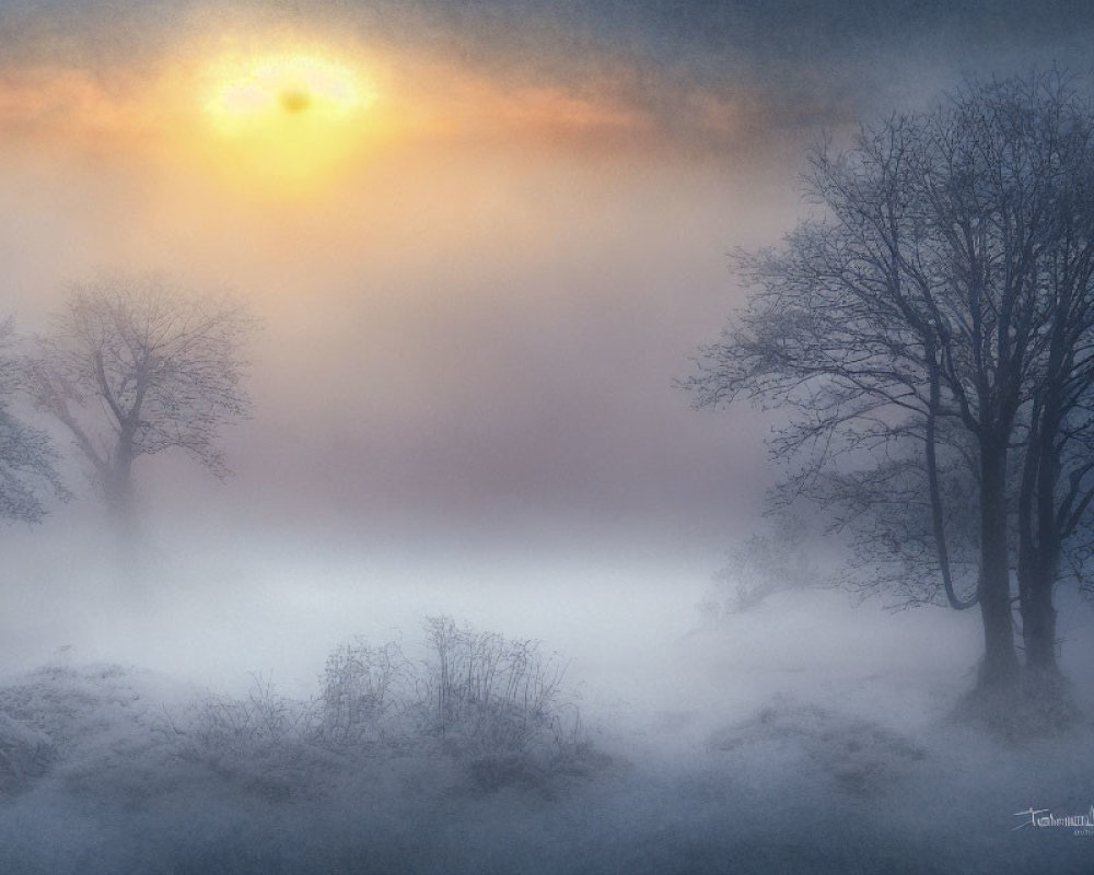 Misty Winter Landscape with Leafless Tree Silhouettes