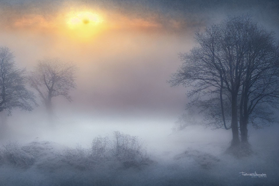 Misty Winter Landscape with Leafless Tree Silhouettes