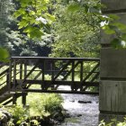 Tranquil garden with waterfalls, greenery, flowers, and footbridge