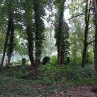 Surreal landscape: dense mossy forest, blue lake, rich greens and blues