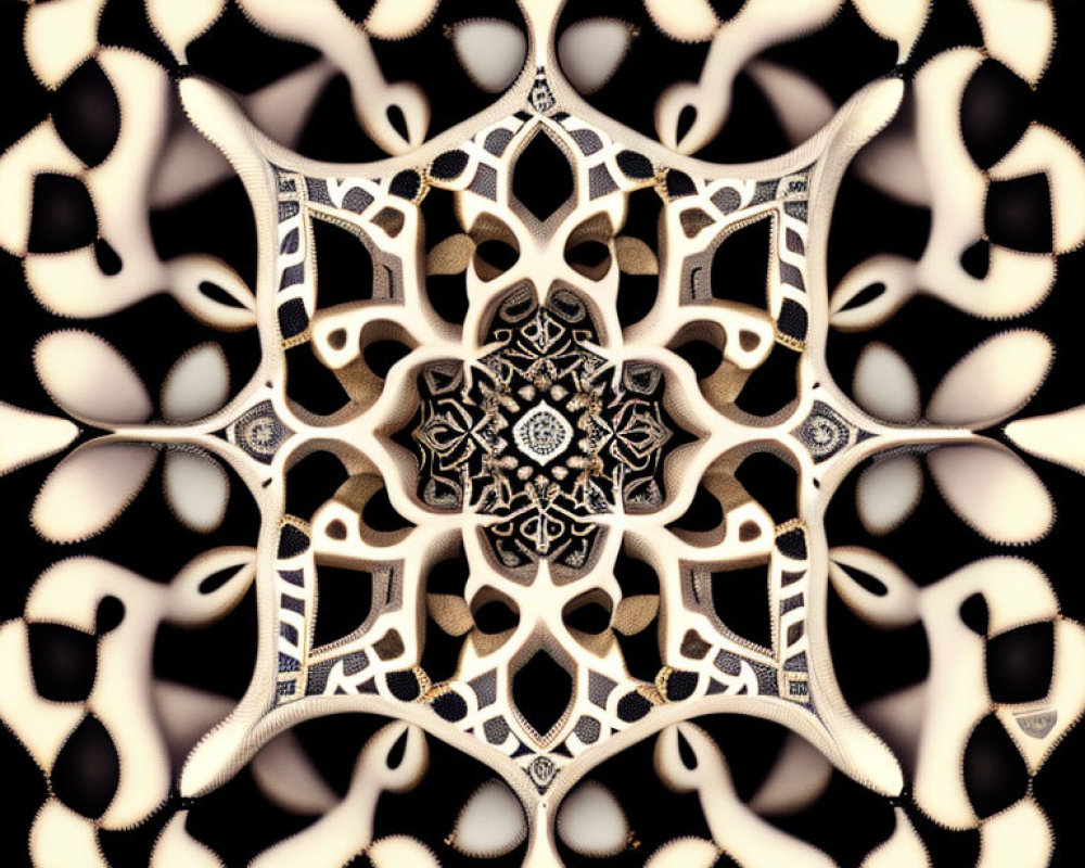 Detailed Black and White Kaleidoscopic Mandala Pattern