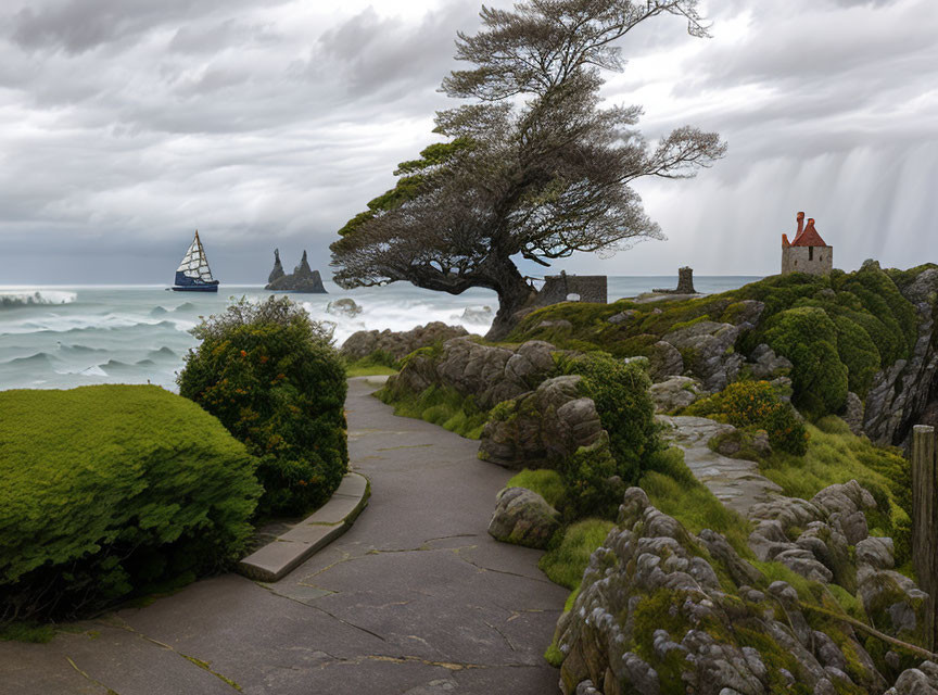 Windswept tree by coastal house with sailboat and stormy sea