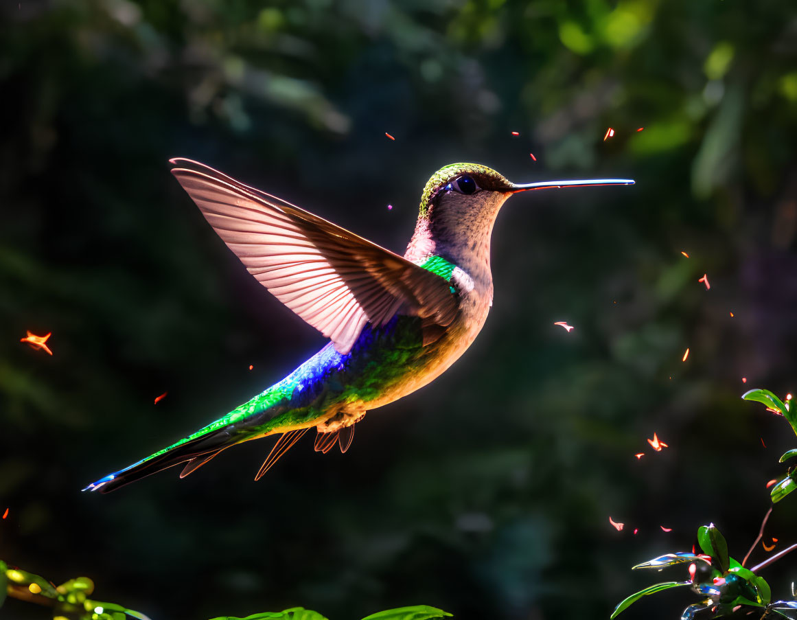 Iridescent hummingbird mid-flight with orange leaves in dark forest.