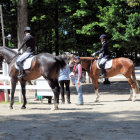 Elegant Riders in Formal Attire in Outdoor Setting