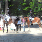 Equestrians in formal attire on horses in sunny arena with spectators.