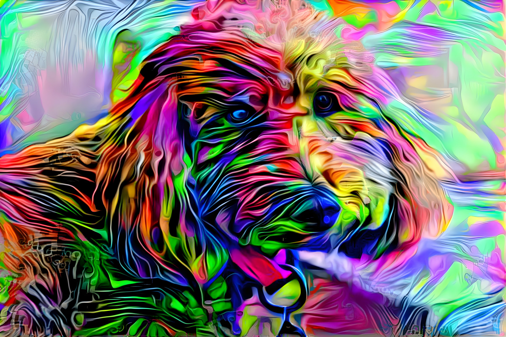 Trippy Poodle