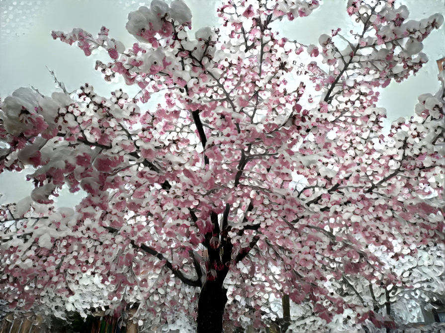 blossom covered in snow