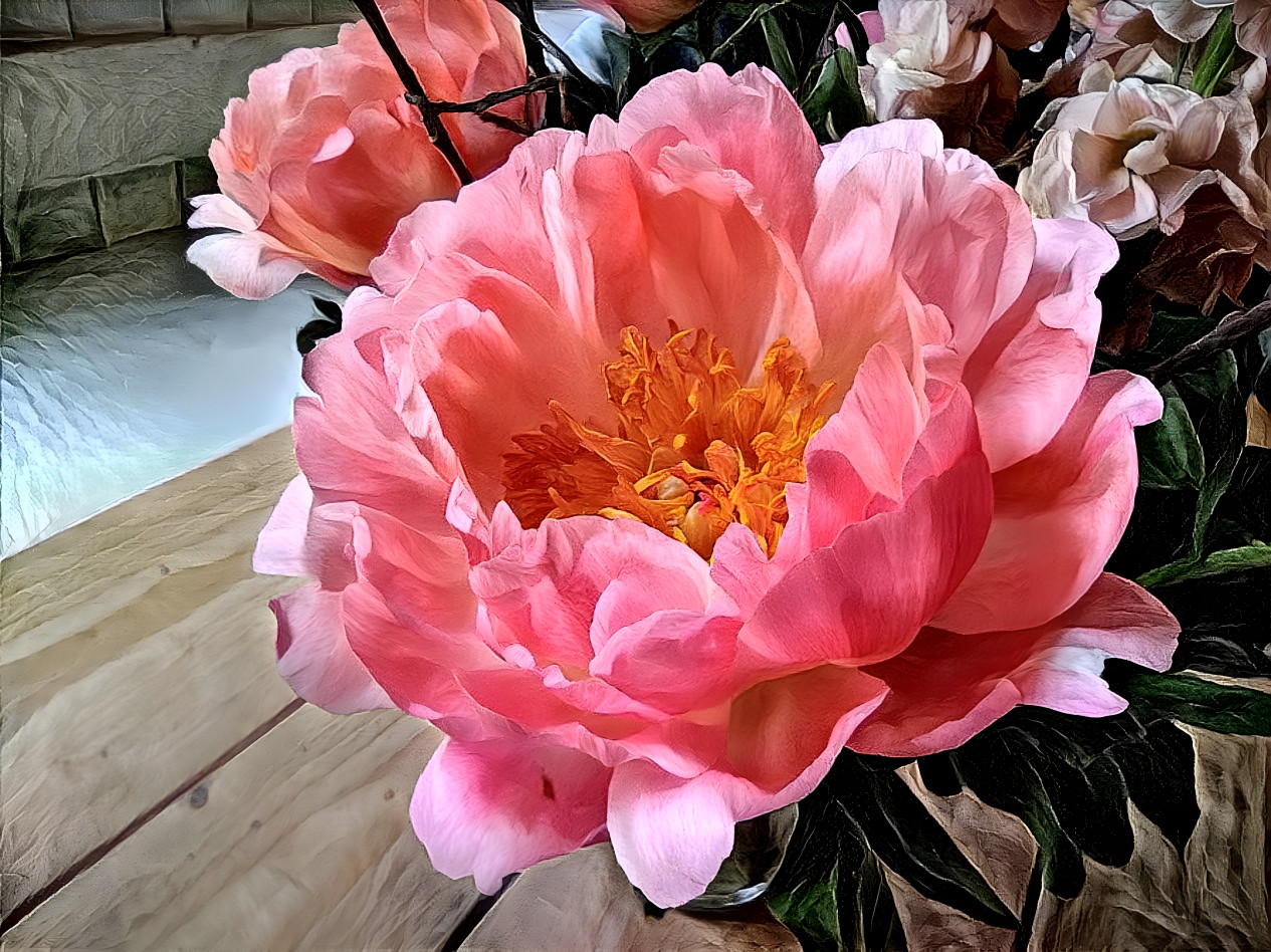 pretty peony