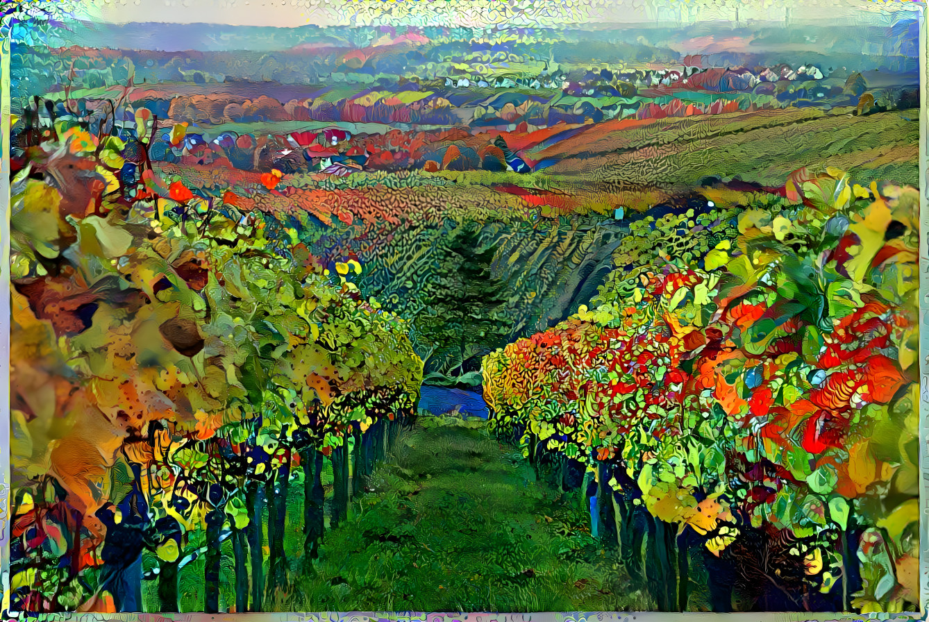 Autumn in the vineyard