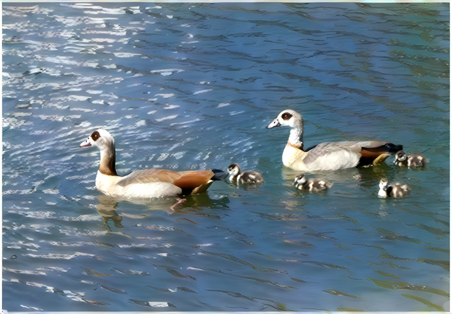 Gänsefamilie