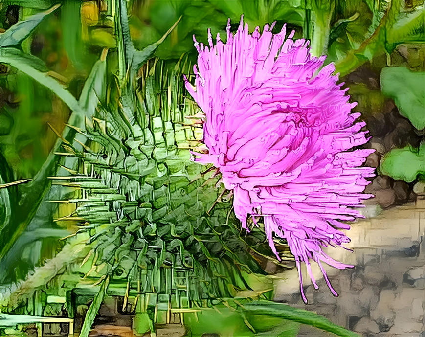 Distel