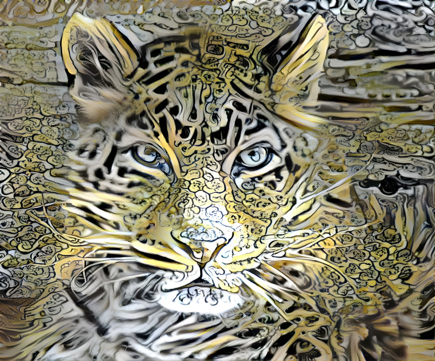 Leopard