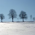 Surreal snowy landscape with stylized tree-like forms under a blue sky.