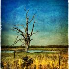 Surreal landscape painting: twisted tree, vibrant colors, looming cloud