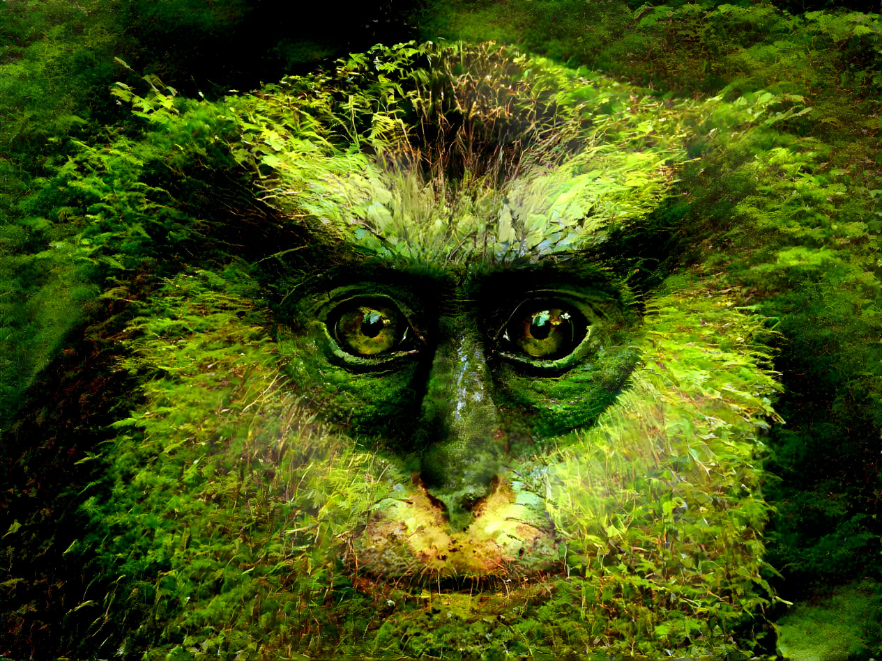 Moss monkey 