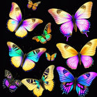 Colorful Illustrated Butterflies in Yellow, Blue, and Pink on Black Background