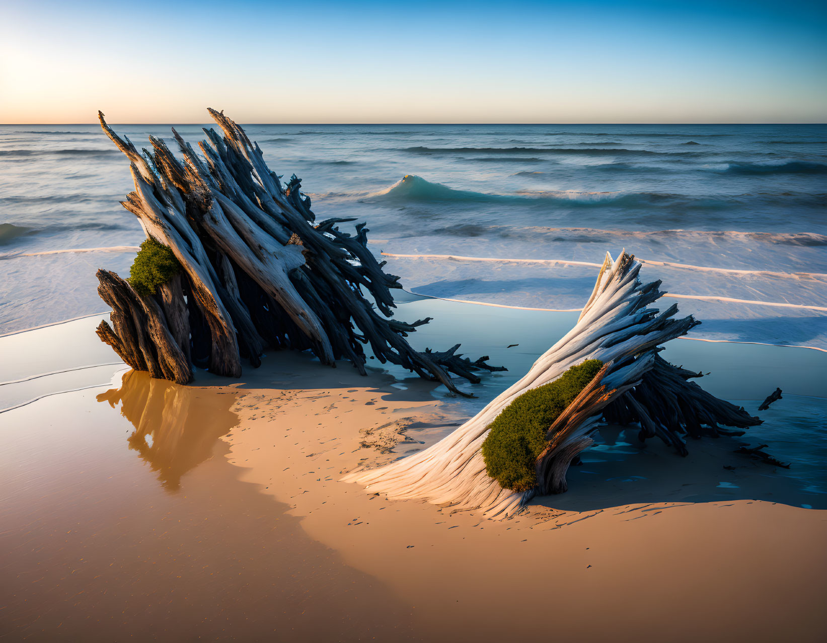 Weathered driftwood structure with greenery on sandy beach at sunrise or sunset