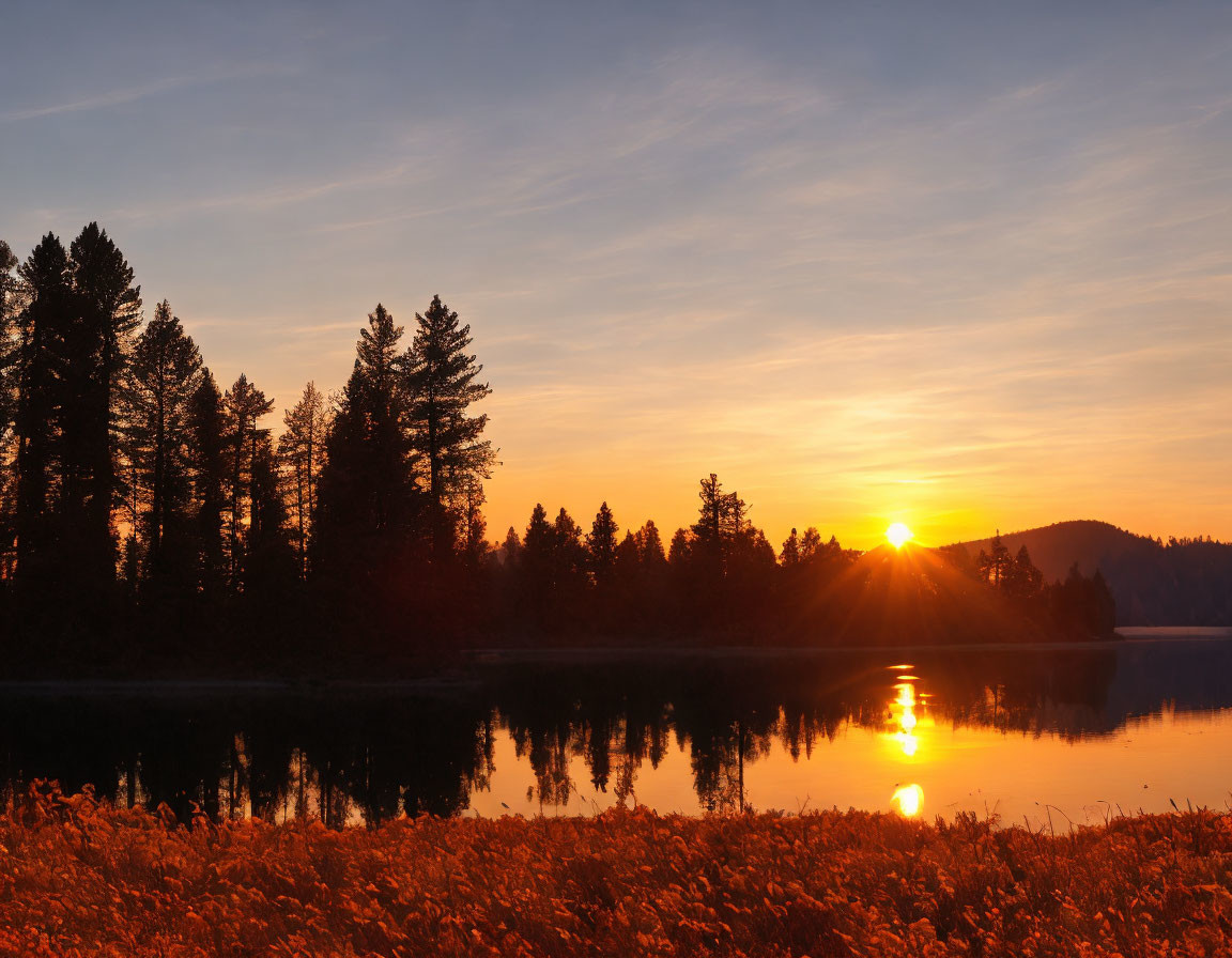 Tranquil sunset over horizon, silhouetted trees by calm lake.