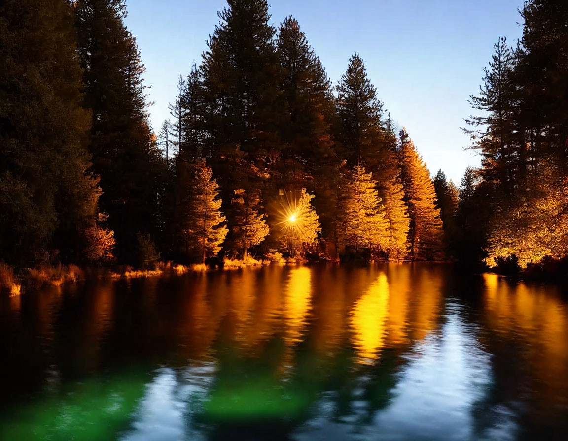 Sunset rays illuminate dense forest and tranquil lake with pine trees