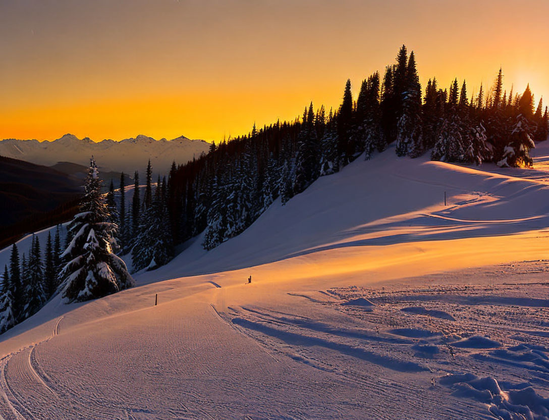 Snow-covered landscape at sunset with silhouetted pine trees and distant mountains.