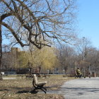 Tranquil autumn park scene with vibrant foliage and distant figures