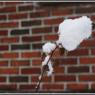 Snow-covered satellite dish against red brick wall with falling snowflakes