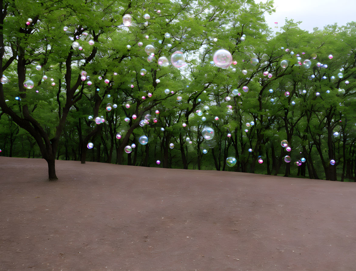 Tranquil Park Scene with Green Trees, Brown Leaves, and Floating Soap Bubbles