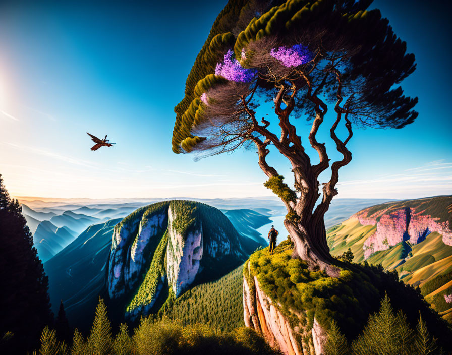 Traveler under windswept tree on cliff with misty mountains and plane in clear sky