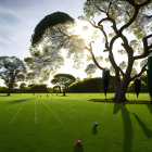 Circular-patterned canopy trees art installation in field with spherical objects under cloudy sky