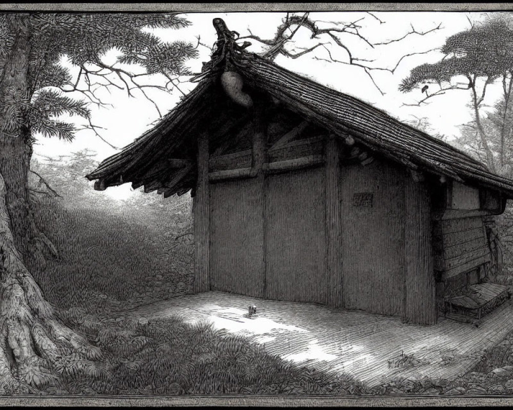 Detailed etching of wooden shack in forest landscape
