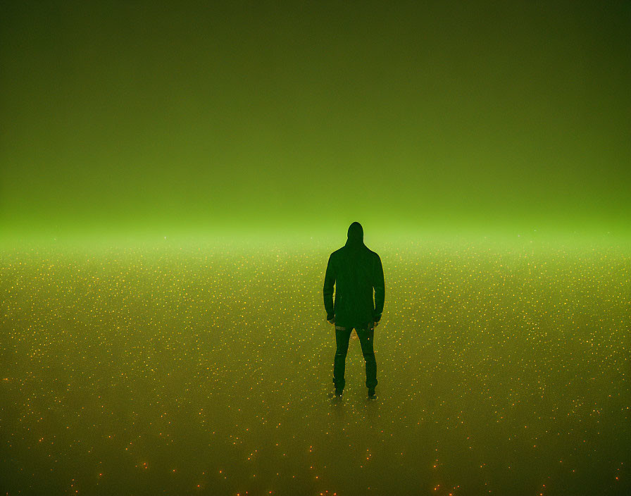 Silhouette standing in green-lit, misty space with starry floor.