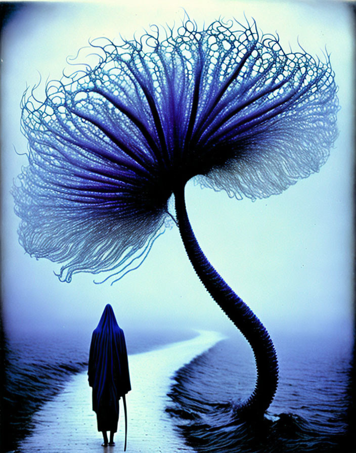 Cloaked figure walking towards oversized blue flower in misty backdrop