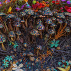 Detailed Illustration: Fantastical Mushroom Forest with Vibrant Flora on Dark Background