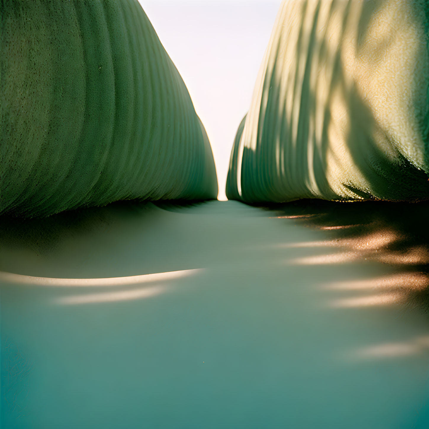 Curving Forms with Reflective Surface and Warm Light Background