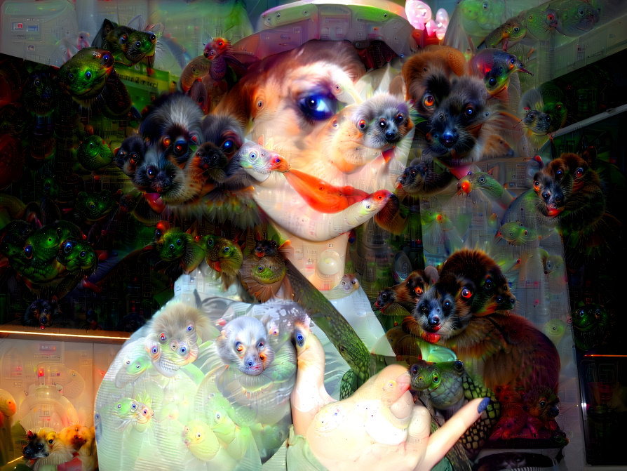 deep dream 