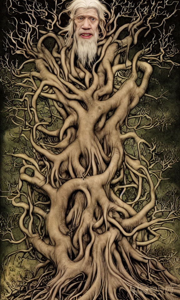 Illustration of old man's face merging with twisted tree roots